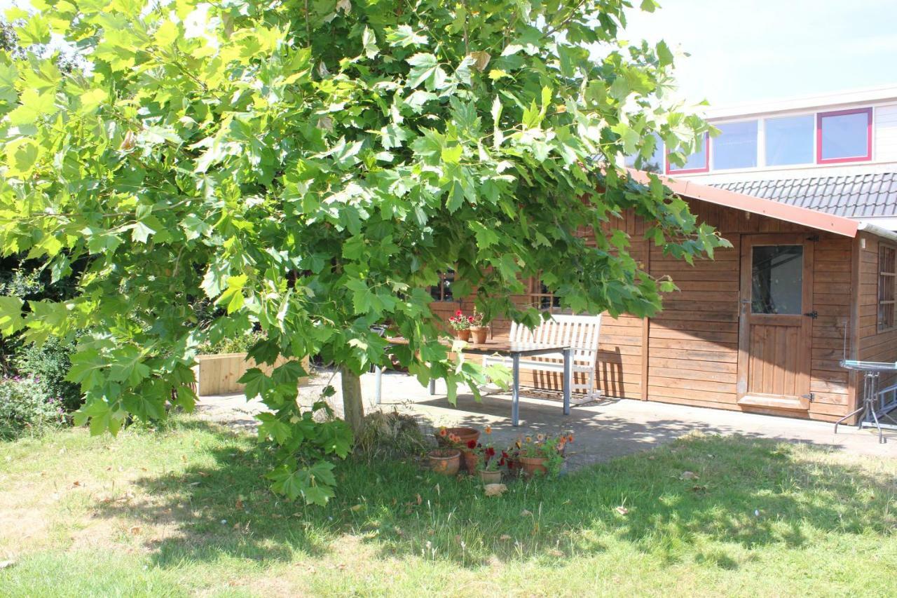 Bed and Breakfast Bluesheep-Texel De Koog  Esterno foto